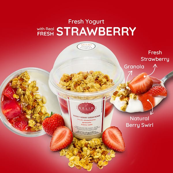 Selig Fresh Yogurt Berry Delicious ~250 gr